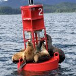 celebrity_summit_alaska_08